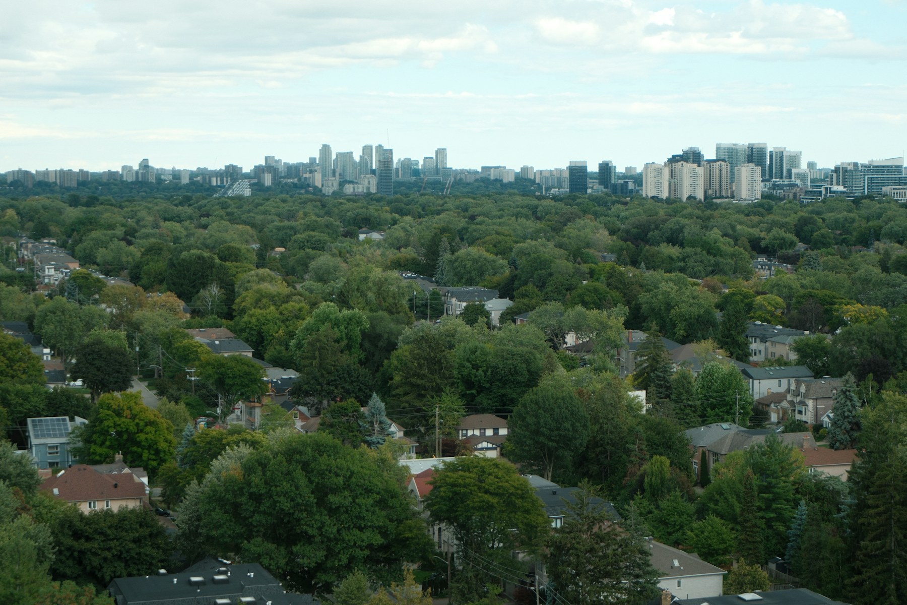 North York community
